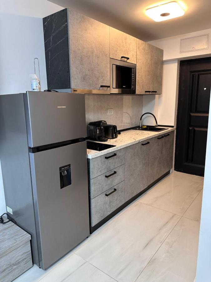 Apartment Cozy And Quiet Arad